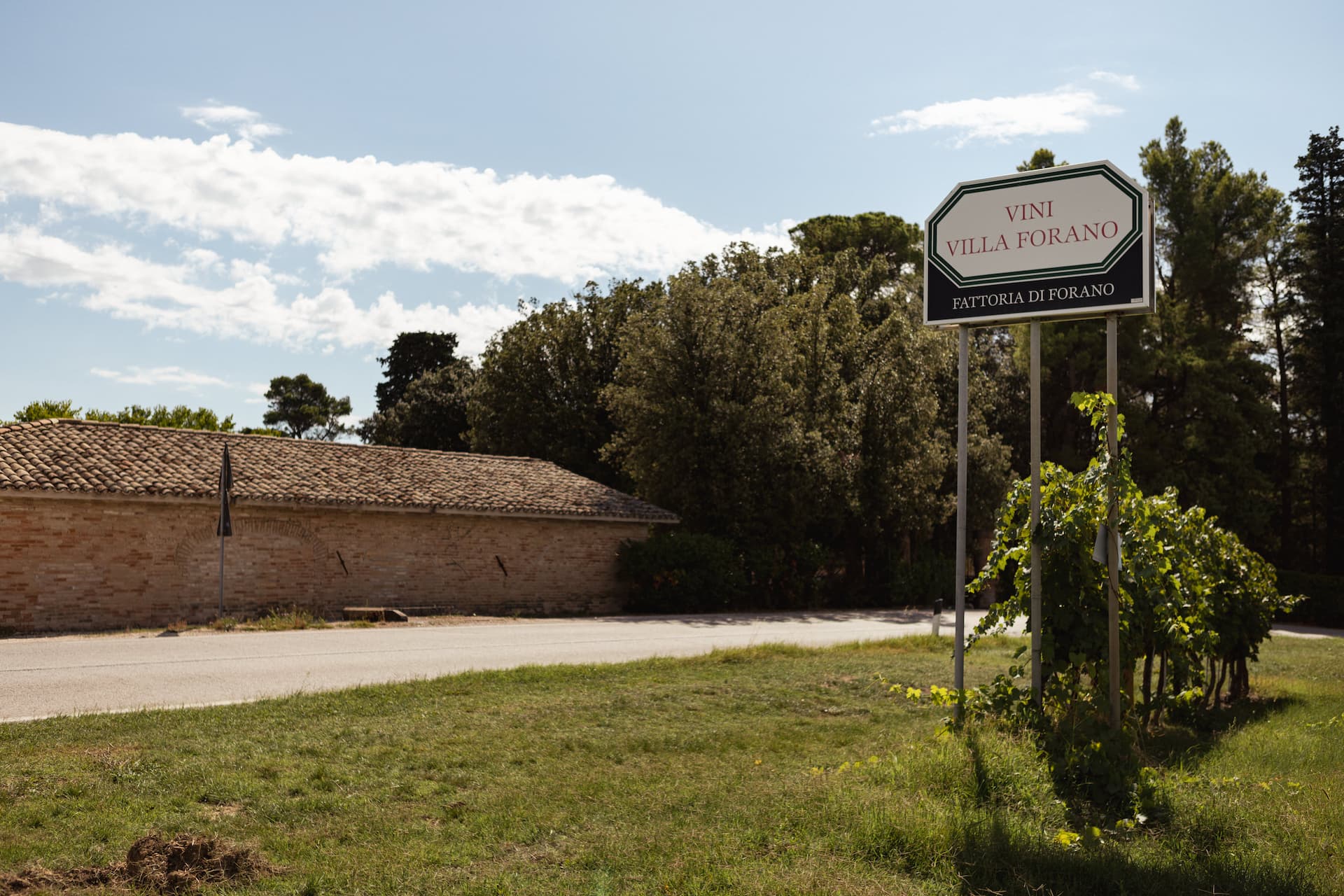 05_Forano Montelipa-100