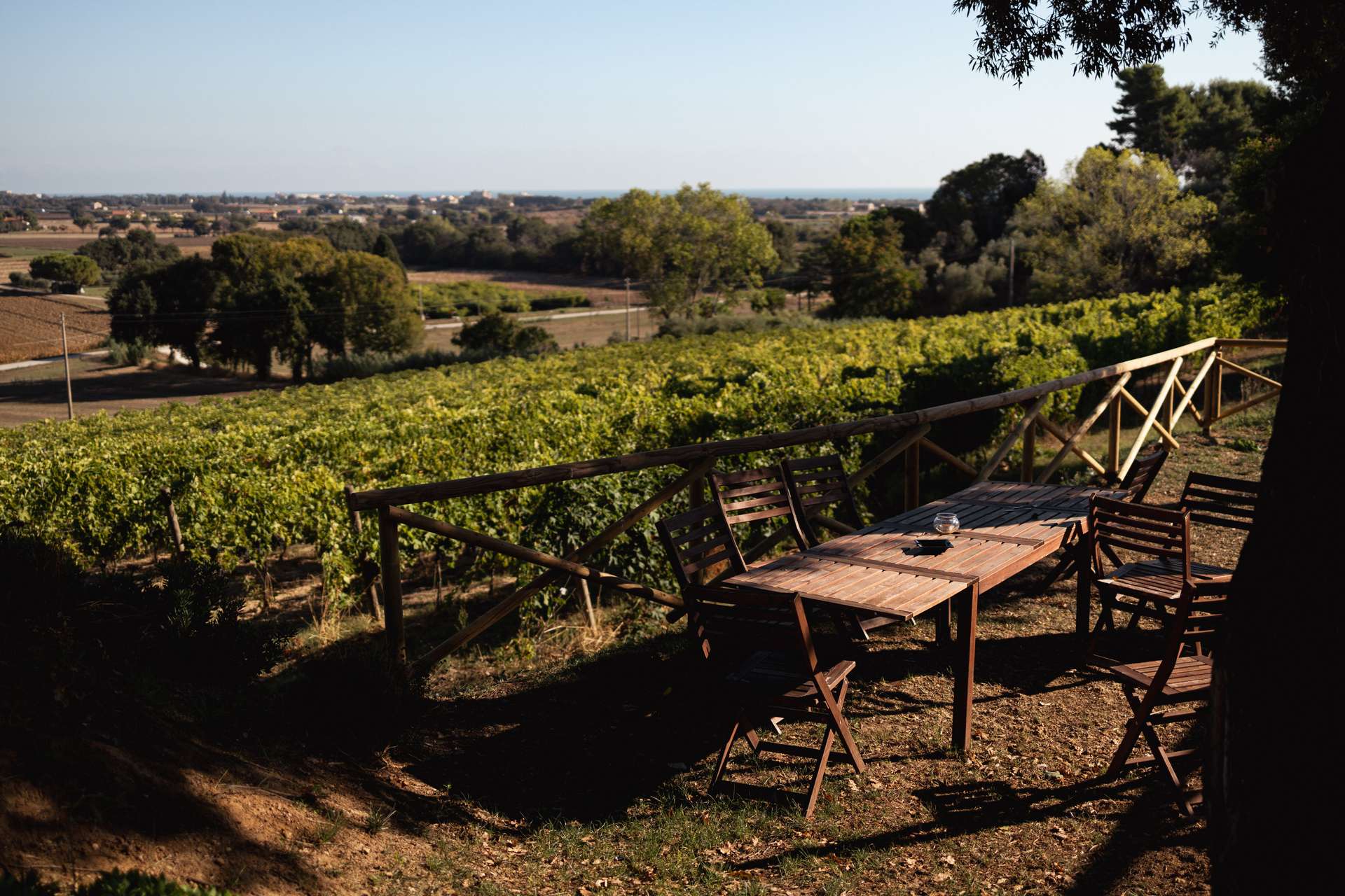 colli-maceratesi-doc-ribona-cantina-andrea-giorgetti-10