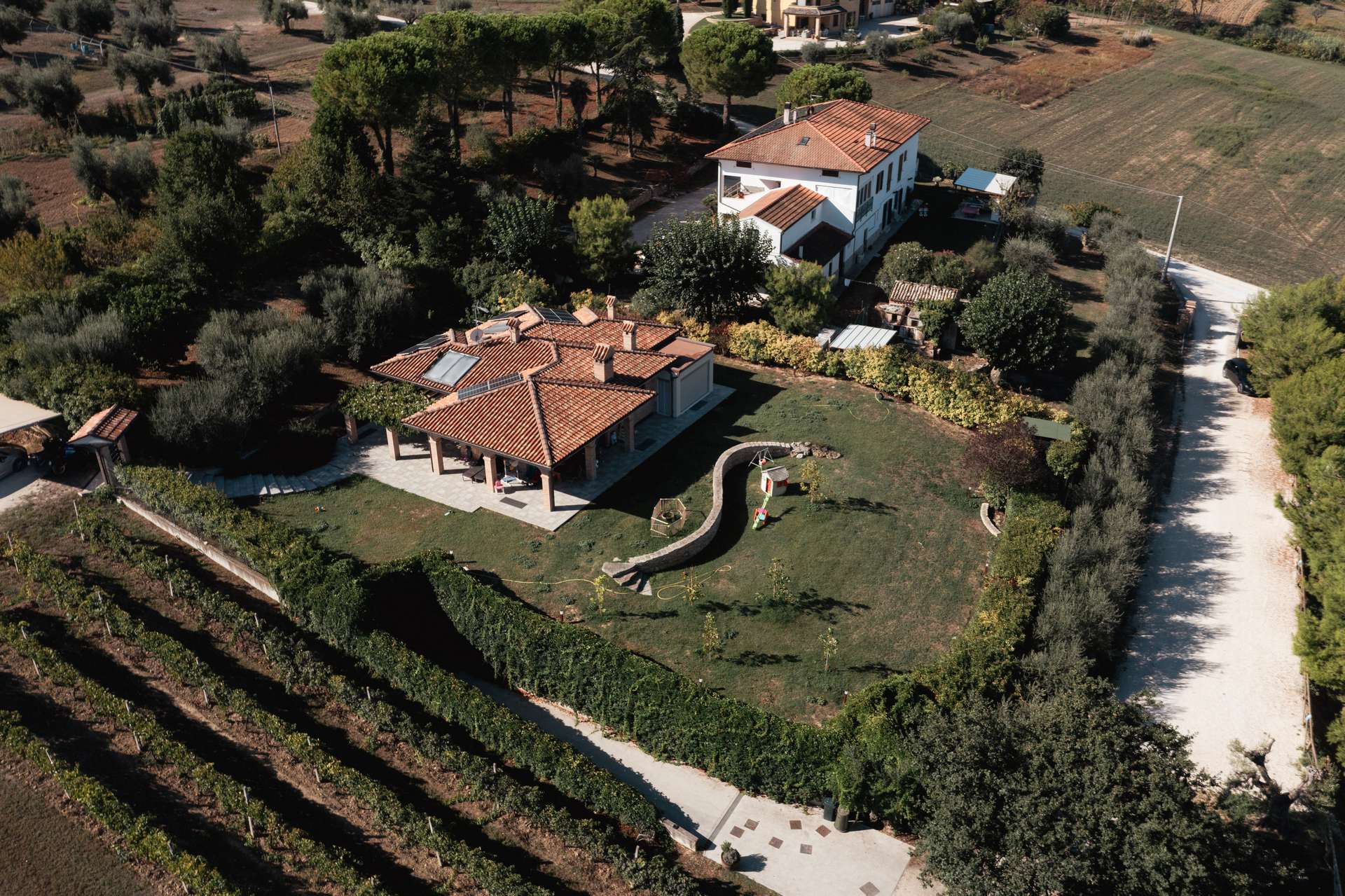 colli-maceratesi-doc-ribona-cantina-andrea-giorgetti-4