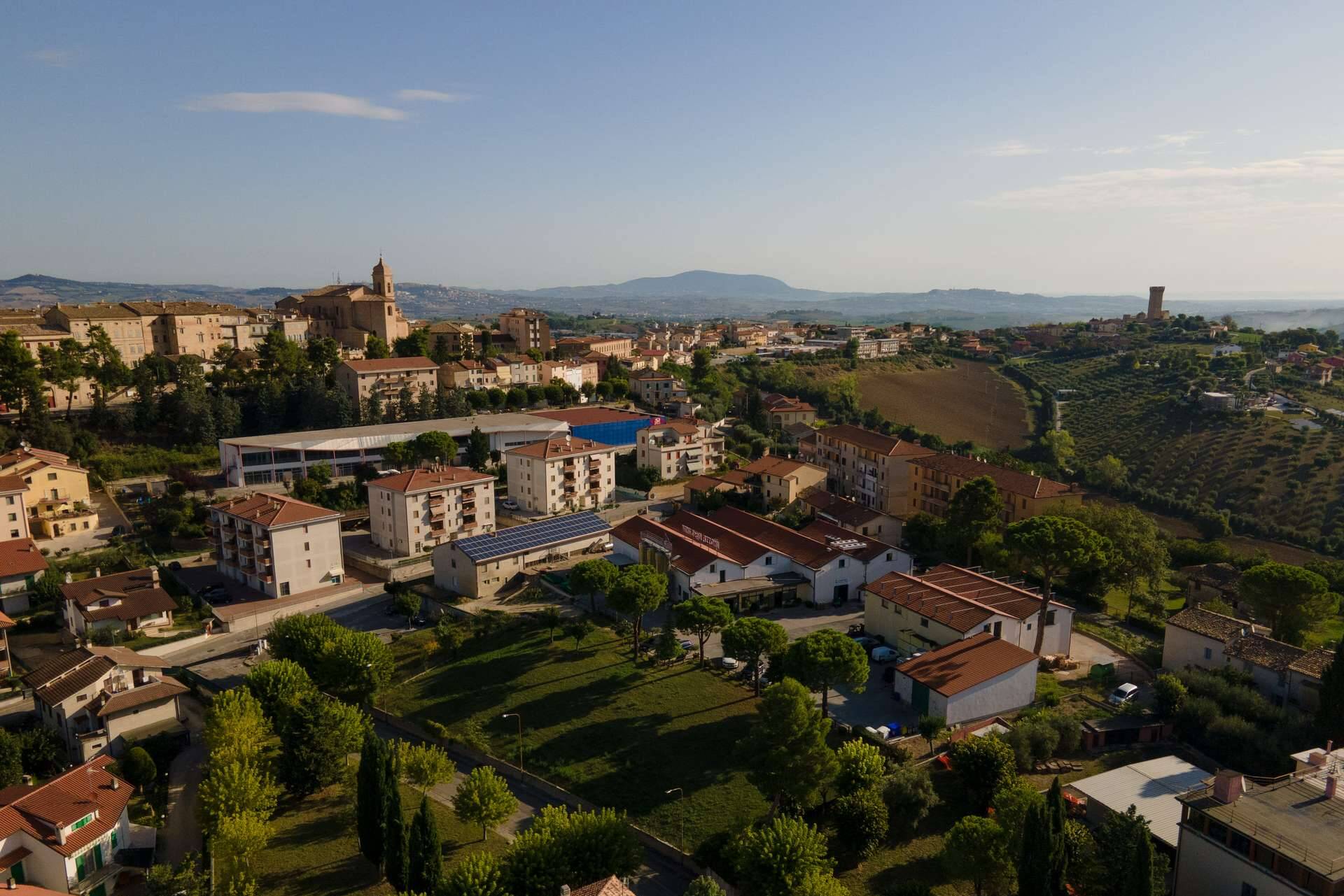colli-maceratesi-doc-ribona-cantina-conti-degli-azzoni-3