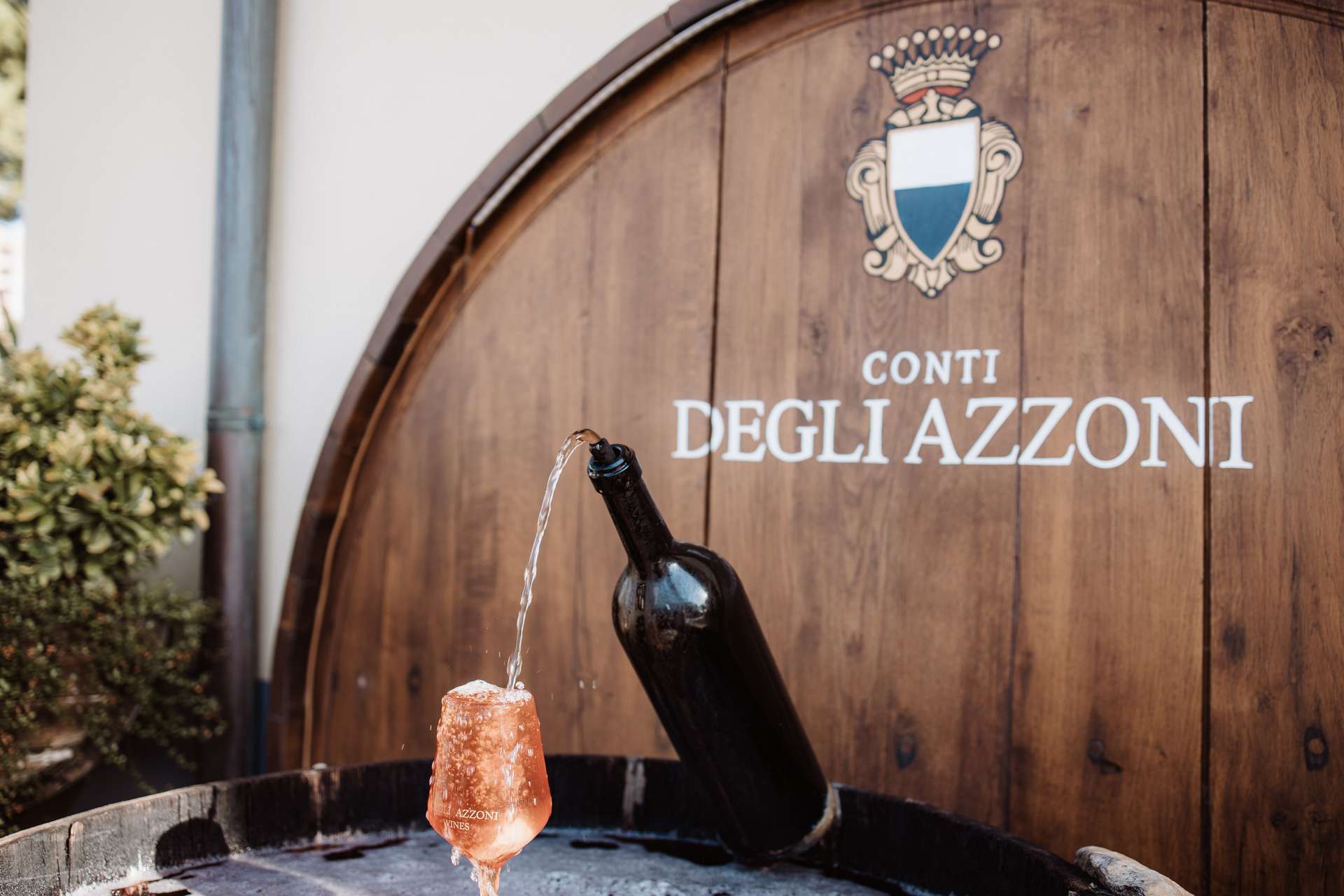 colli-maceratesi-doc-ribona-cantina-conti-degli-azzoni-5