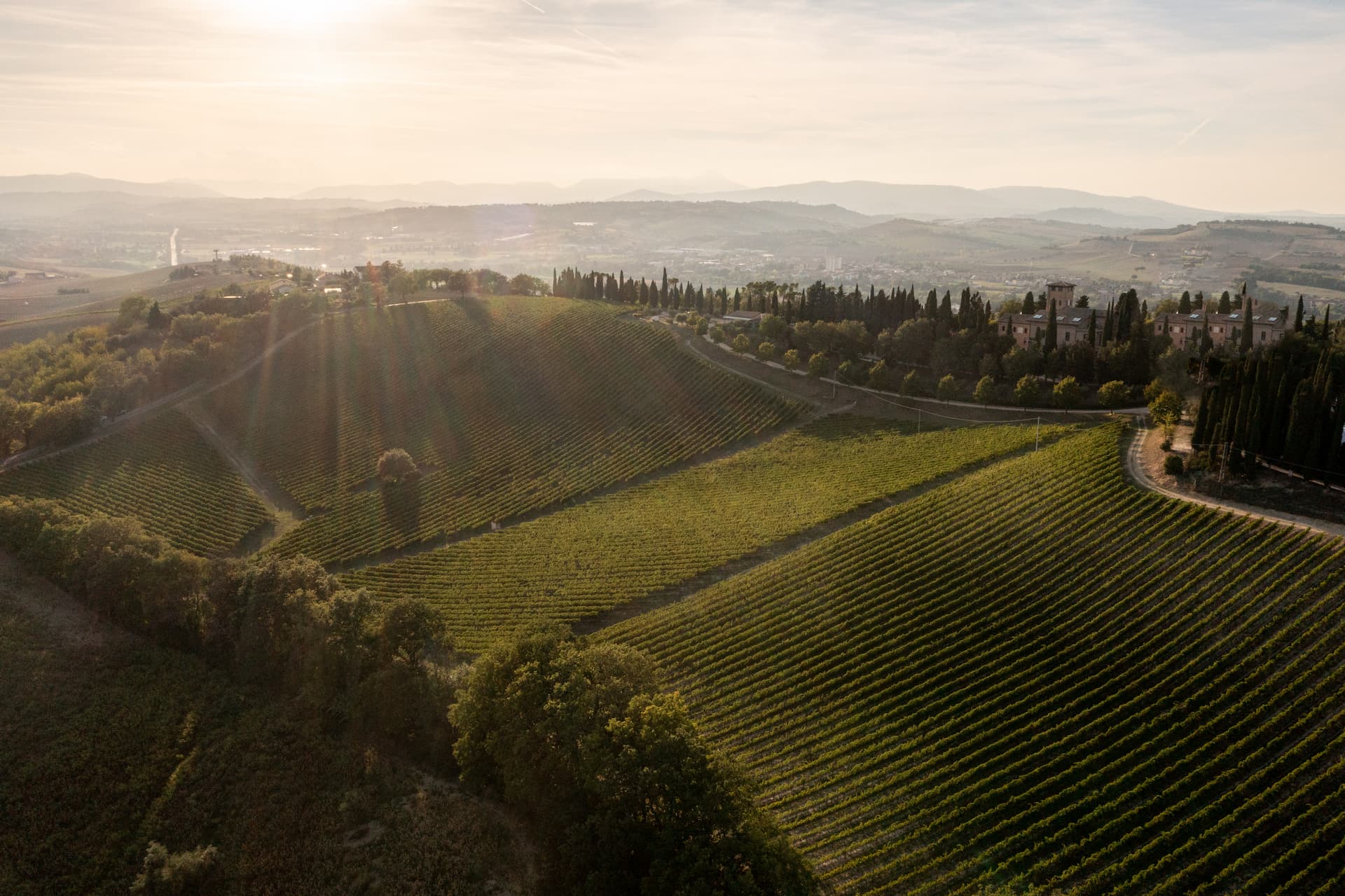 colli-maceratesi-doc-ribona-cantina-sant-isidoro-11