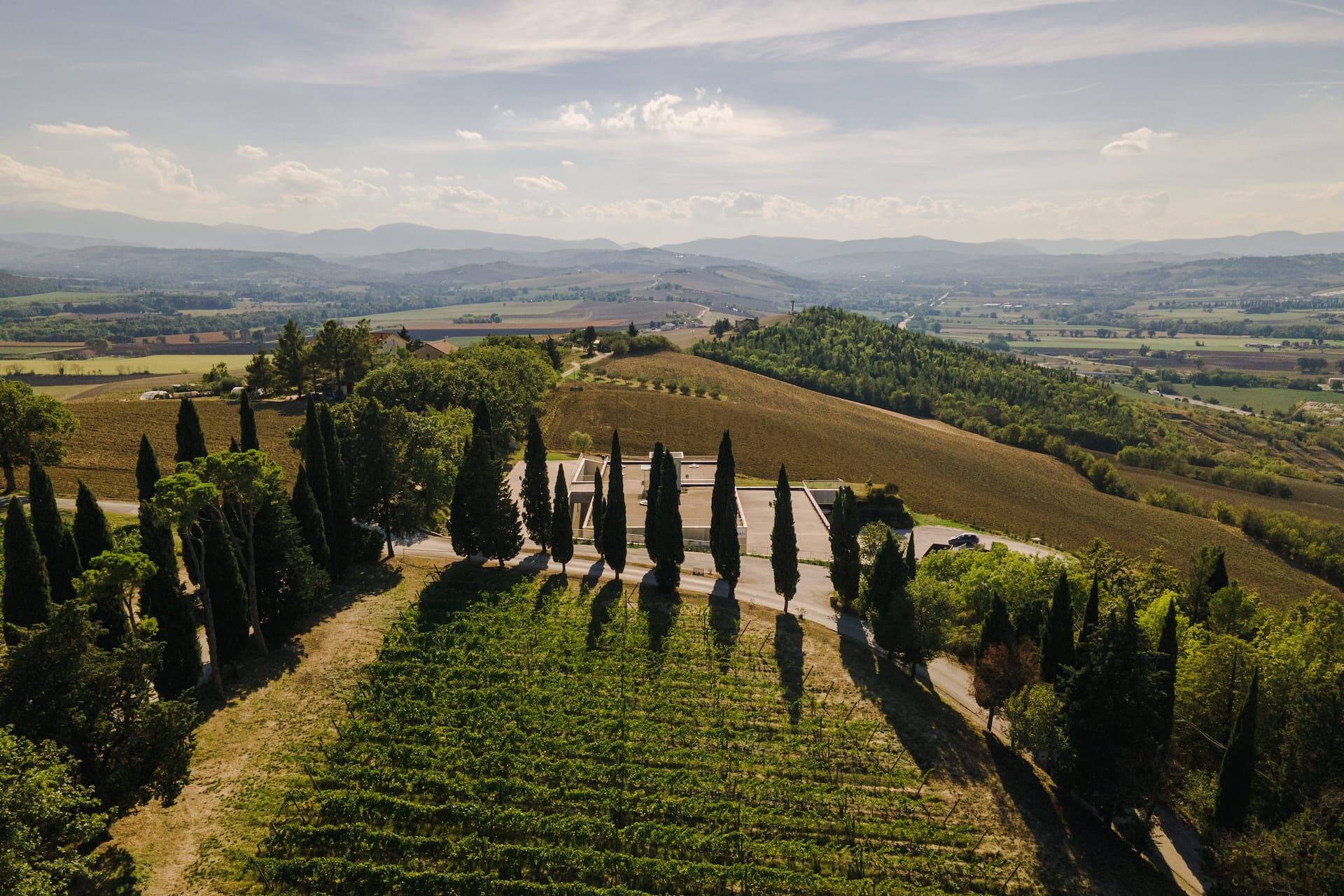 colli-maceratesi-doc-ribona-cantina-sant-isidoro-2